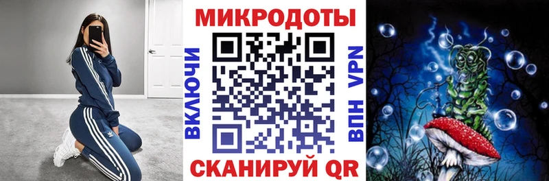 Галлюциногенные грибы Cubensis  Звенигород 